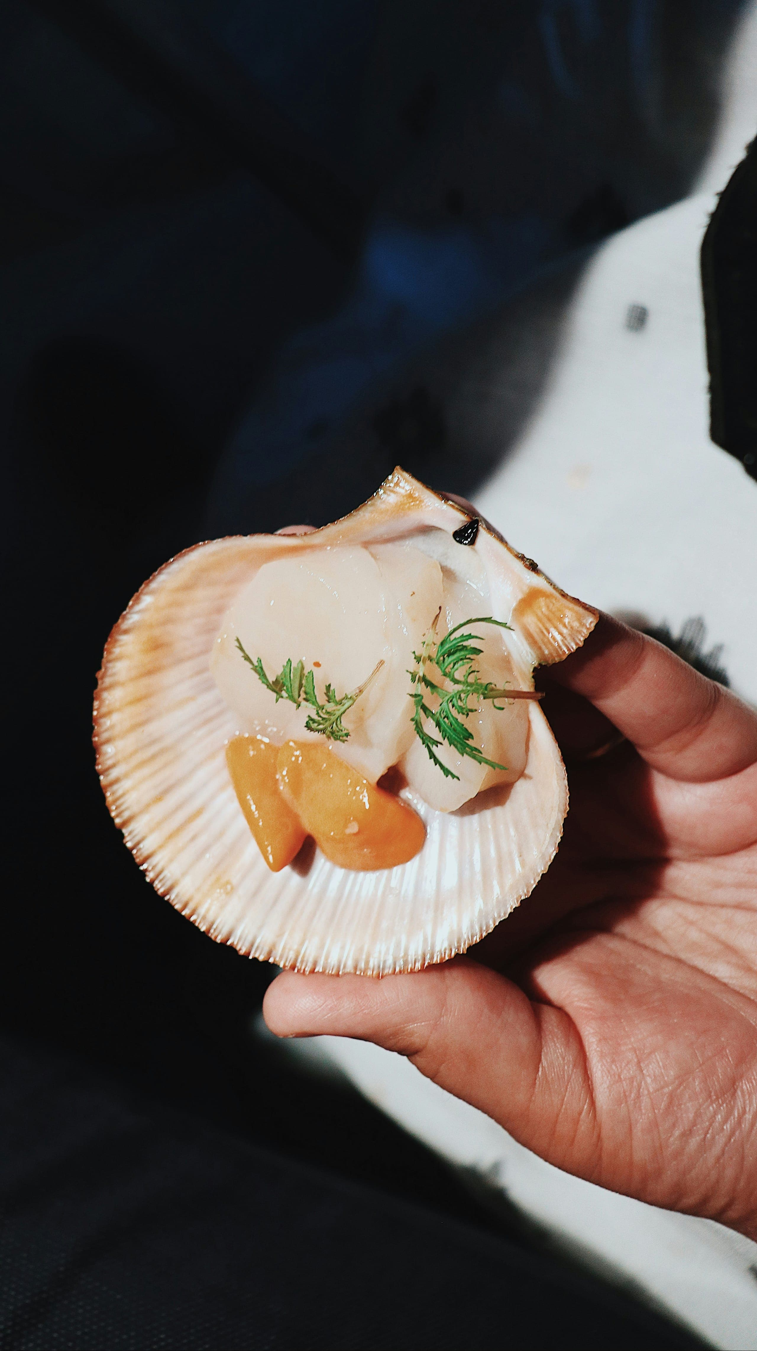 A carefully prepared scallop course from the Sanbay Fusion kitchen