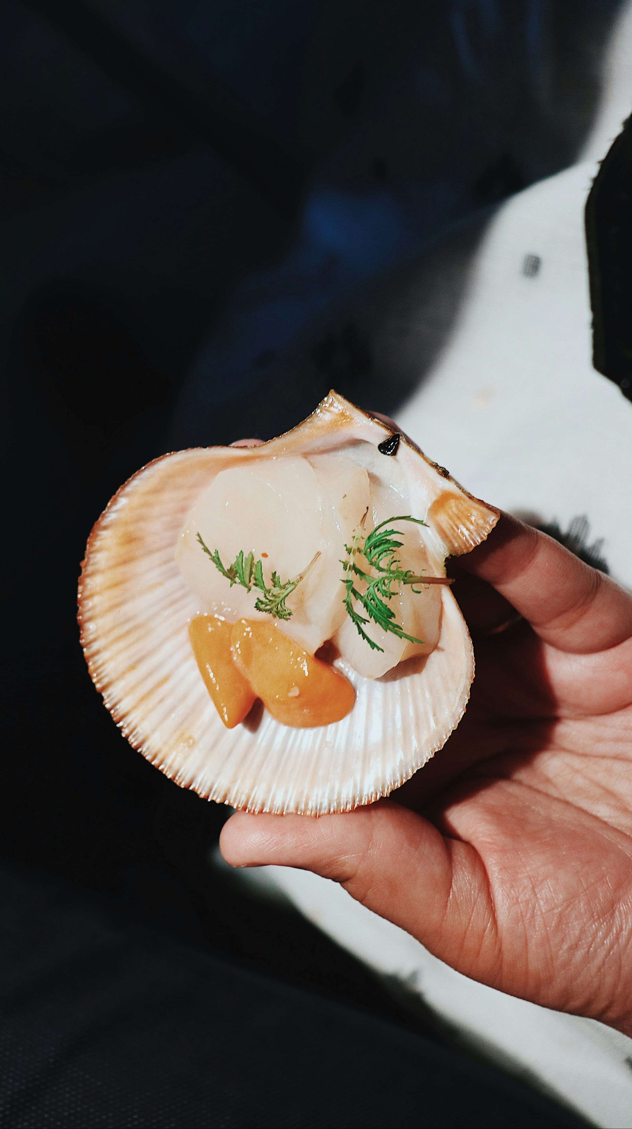 A plated scallop course prepared for a private occasion